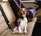 Adjustable Pet Car Safety Belt – Universal Fit for Dogs & Cats