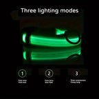 LED Dog Collar – Reflective & Safety Light for Night Walks