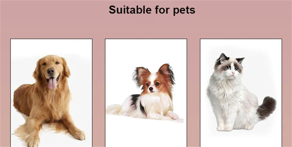 Adjustable Pet Car Safety Belt – Universal Fit for Dogs & Cats