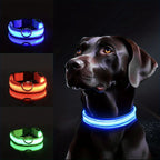 LED Dog Collar – Reflective & Safety Light for Night Walks